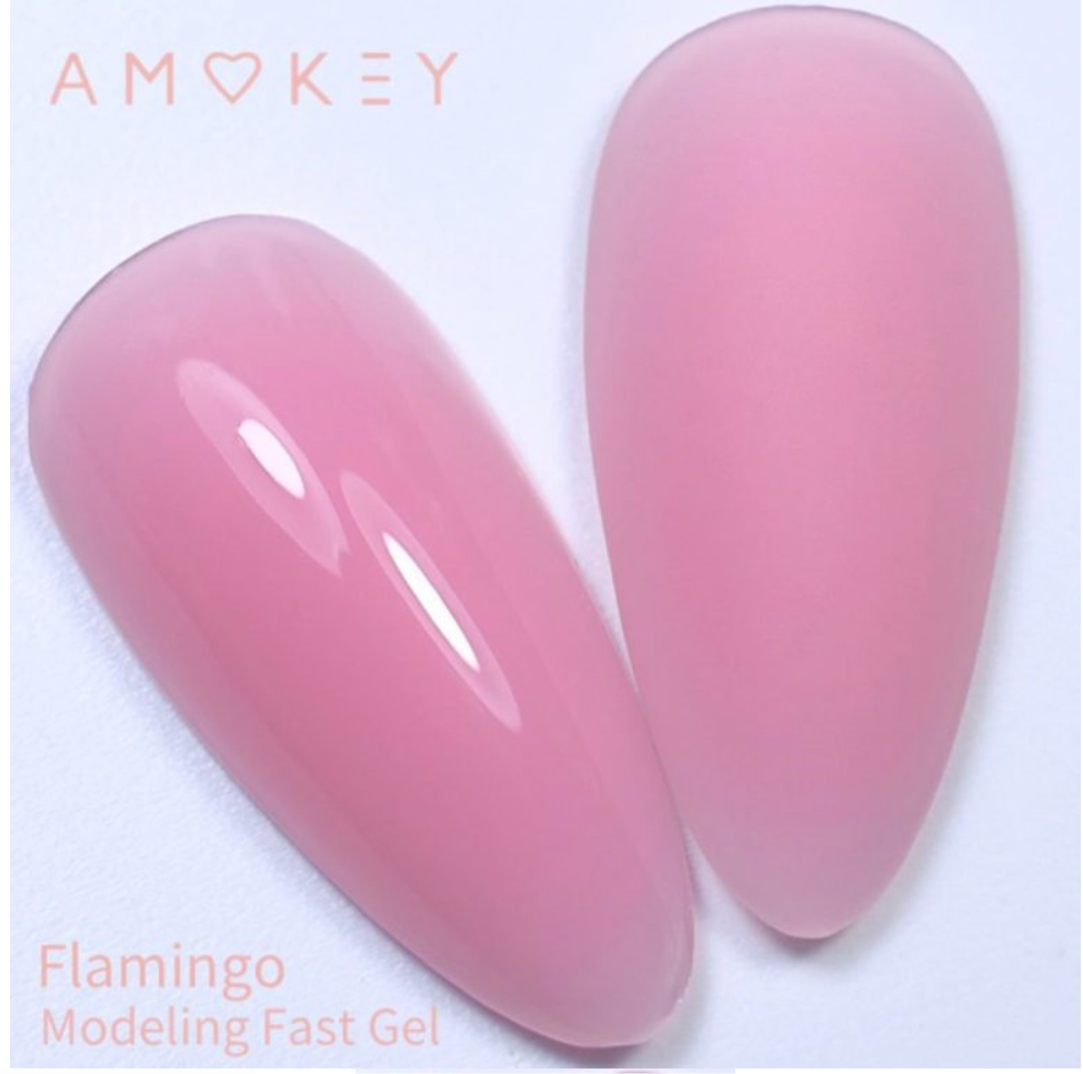 Modeling Fast Gel Flamingo