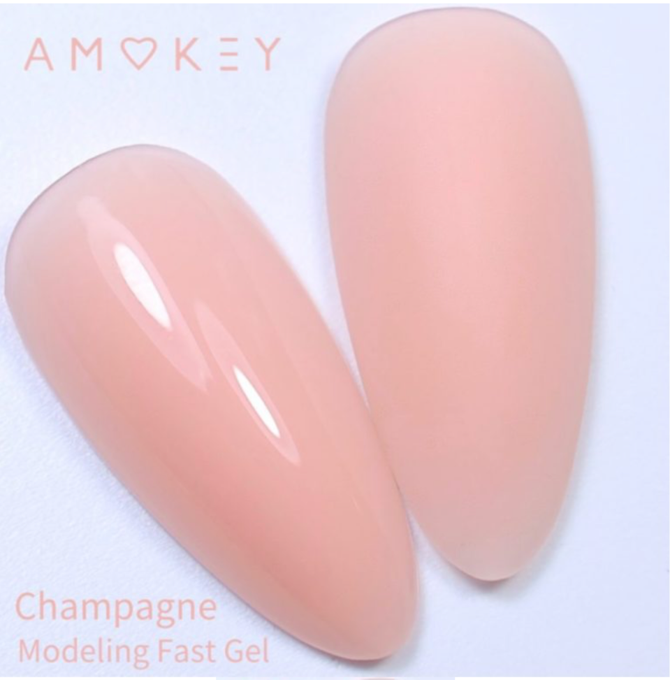 Modeling Fast Gel Champagne