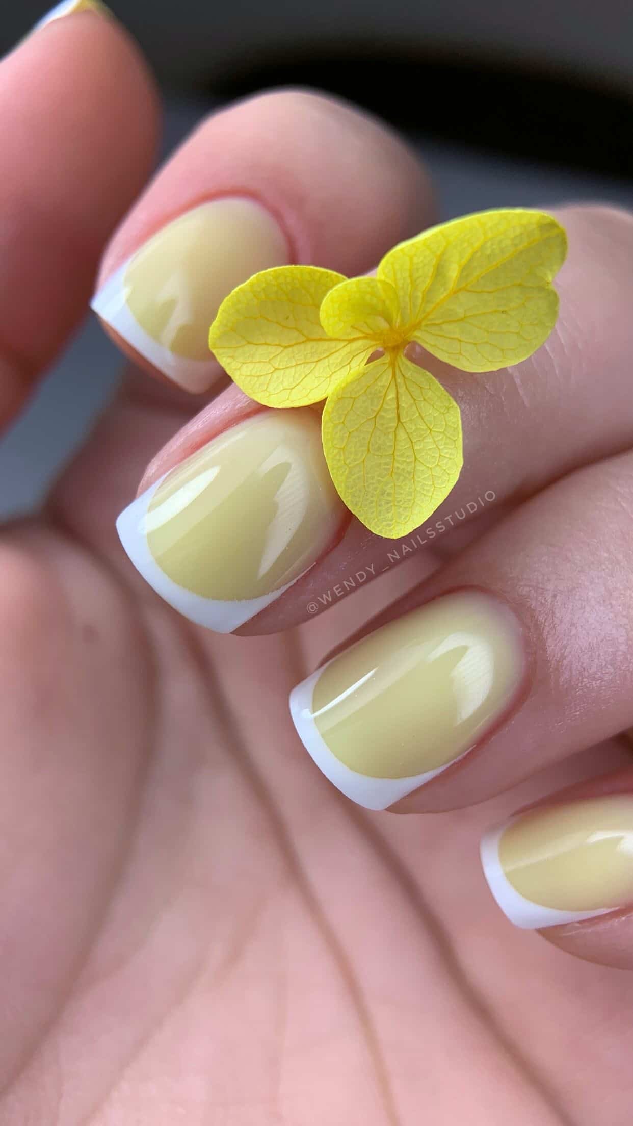 Modeling Gel Duet Flower 06