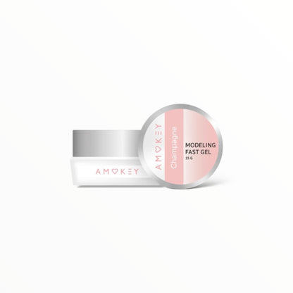 Modeling Fast Gel Champagne