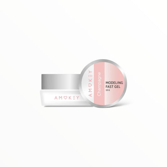 Modeling Fast Gel Champagne